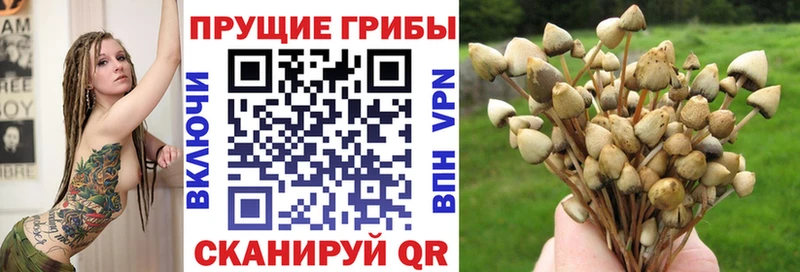 Галлюциногенные грибы мухоморы Владикавказ